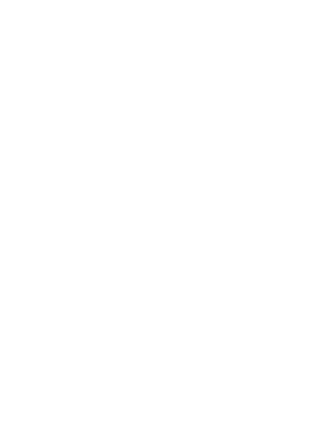 SlyFox Media logo